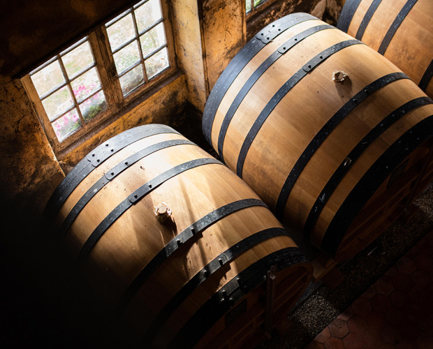 Calvados Pays d'Auge