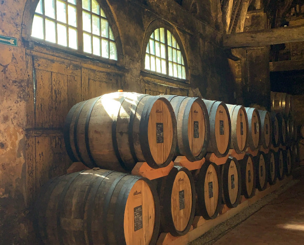 Chai orangerie Château du Breuil