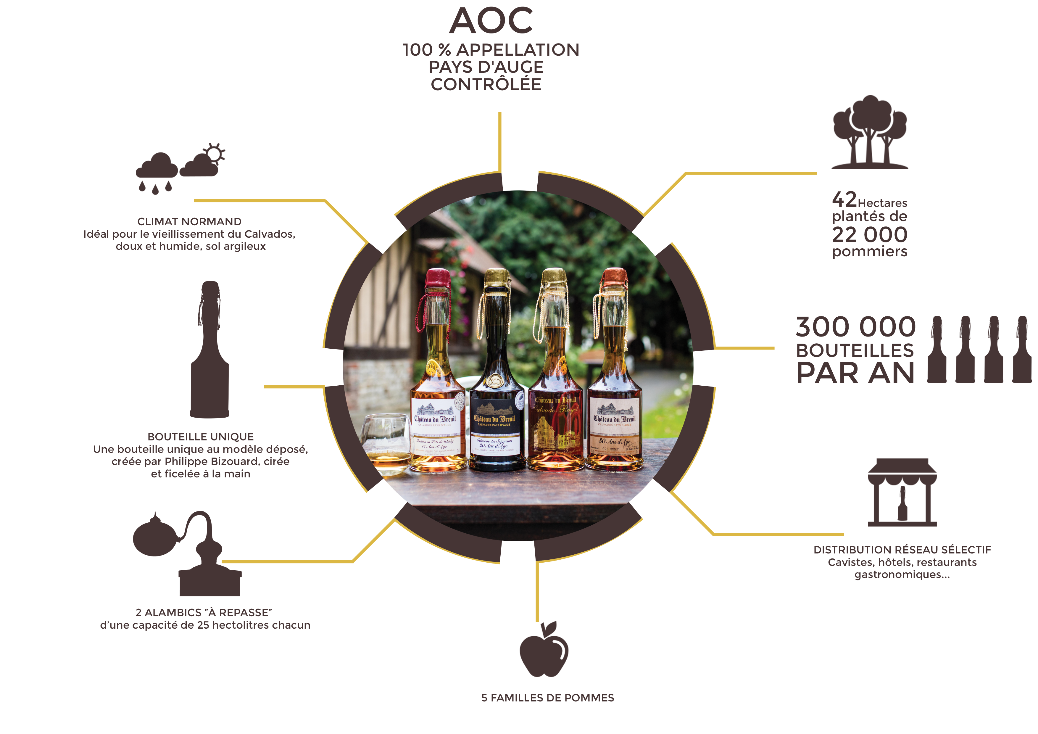 Le Calvados AOP