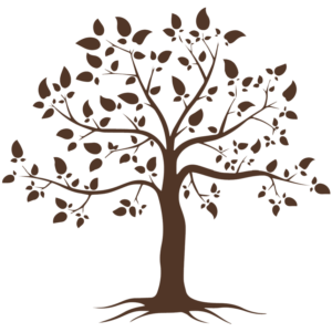 Logo Arbre Distillerie C'est Nous