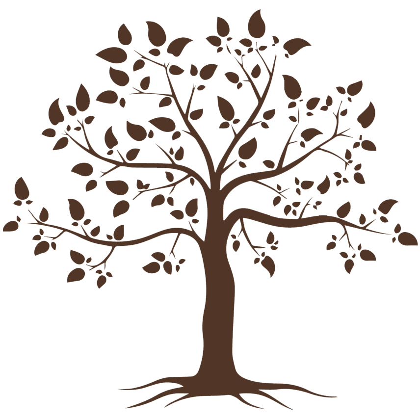Logo Arbre Distillerie C'est Nous